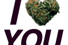 Business Development & Market Expansion for Cannabis Brand